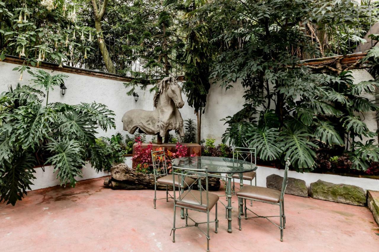 Los Camilos (Adults Only) Meksyk Zewnętrze zdjęcie